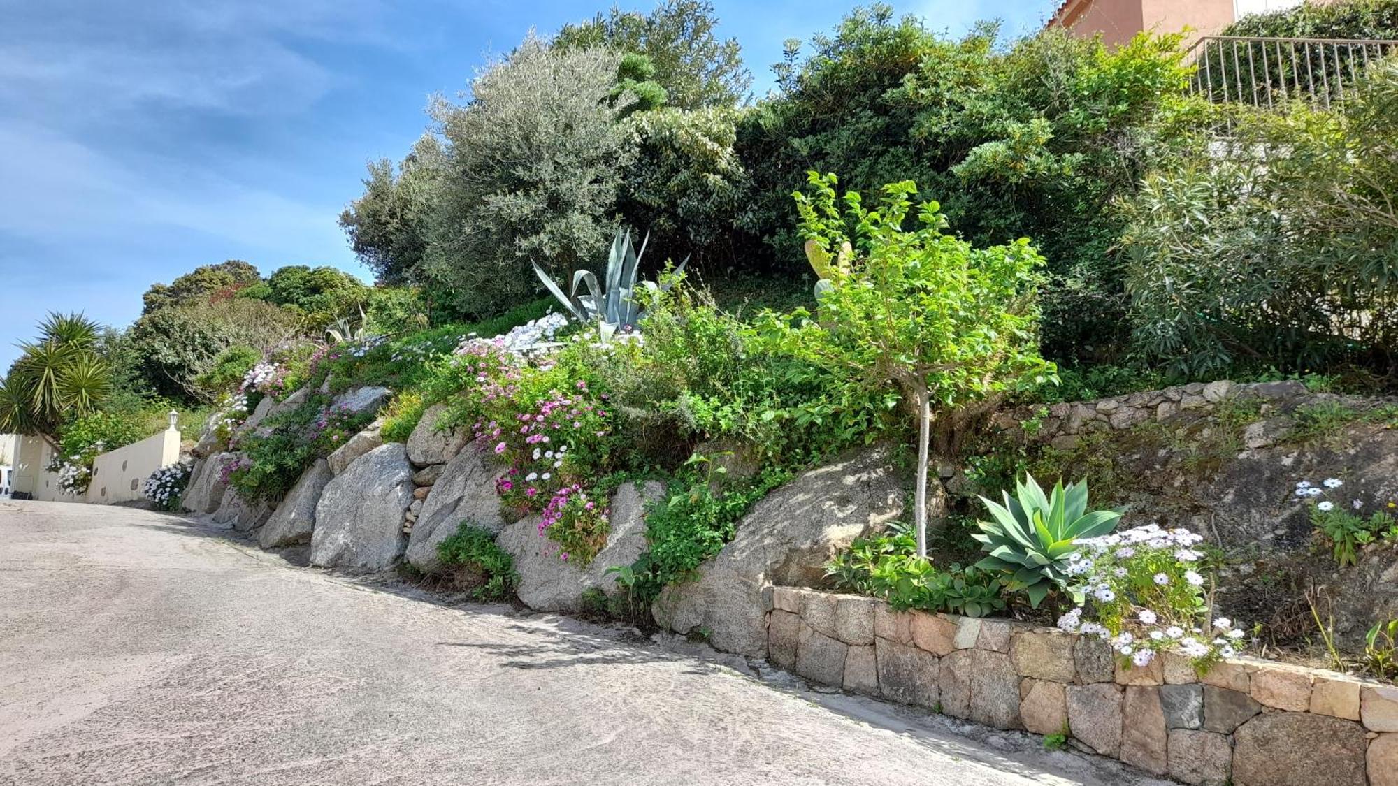 Résidence Casa Régina Appartement Propriano (Corsica)