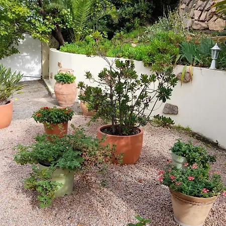 Résidence Casa Régina Propriano  Esterno foto