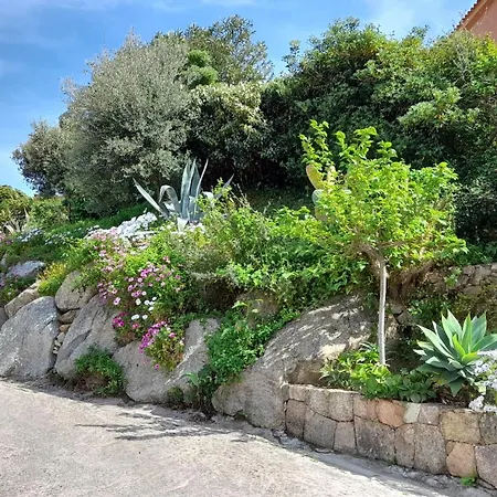 Résidence Casa Régina Propriano  Esterno foto