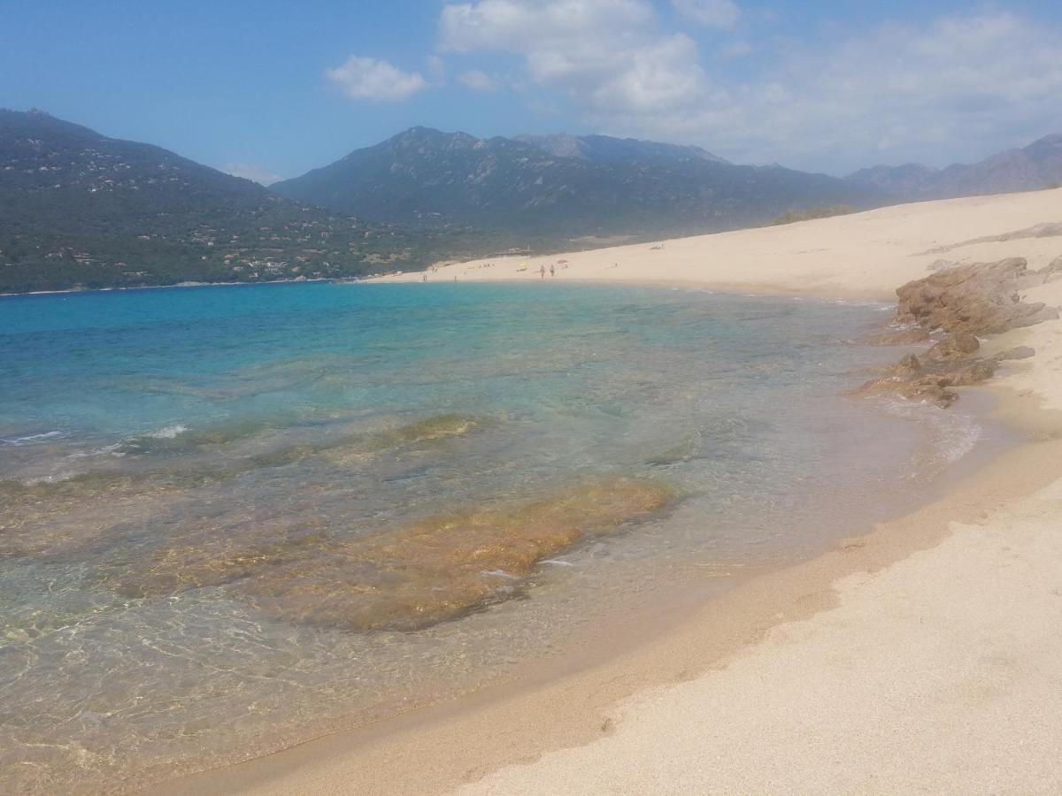 Appartamento Résidence Casa Régina Propriano (Corsica)